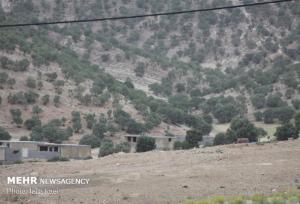 فیلمی از حجم بالای کوه تراشی در مازندران