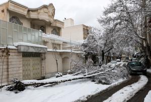 جمع‌آوری حدود ۲۰ اصله درخت شکسته در پی طوفان برف شب گذشته مشهد