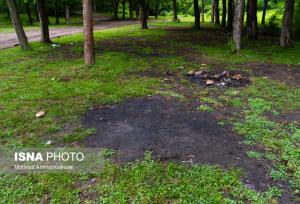 ضرورت حفاظت از خاک و تأثیر آن بر سلامت انسان