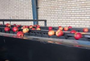 افتتاح سردخانه ۲۰۰۰ تنی و ۲ واحد سورتینگ بسته‌بندی میوه در اشنویه