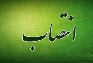 اعضای شورای پژوهشی مؤسسه ملی تحقیقات سلامت منصوب شدند