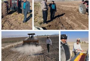 آغاز کشت گندم در دره‌شهر