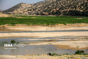 کشکانِ عطشان