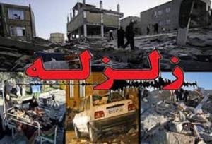 انجام برنامه‌ریزی برای زندگی مسالمت آمیز با زلزله/ وقوع ۱۷۳ زمین لرزه در استان