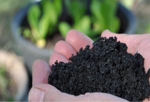 تبدیل ضایعات کشاورزی به زغال زیستی؛ گامی برای کاهش آلودگی و صرفه‌جویی در مصرف آب