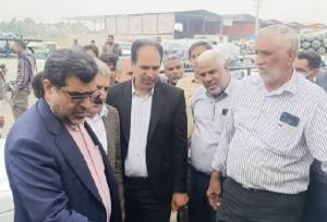 محسنی: کیفیت پایین بسته بندی محصولات کشاورزی موجب افت قیمت می‌شود