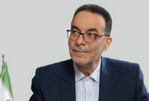  باید از سقوط بیش از حد پول ملی جلوگیری شود