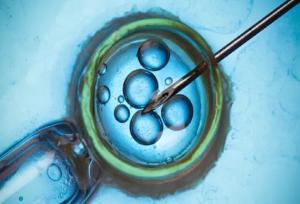 رئیس مرکز ناباروری بیمارستان کمالی: تمام روش‌های پیشرفته درمان ناباروری در البرز قابل دسترس است