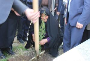 باقری: ۴.۶ میلیون اصله نهال در مازندران تولید شد