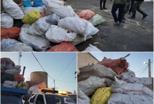 کشف و ضبط ۷ تن هیزم جنگلی در اردبیل