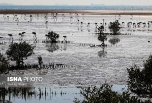 تالاب‌ها را به چشم مشک آب نبینیم!