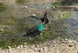 نجات اضطراری گنجینه زیستی سراب بیستون در پی خشکسالی