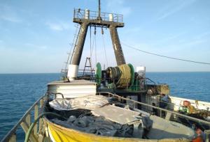 کشف ادوات صید ترال در سواحل استان بوشهر