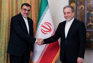 دیدار سفرای ایران در تانزانیا و سازمان همکاری اسلامی با عراقچی