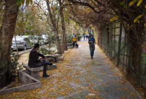 هفته‌ای سرد و آلوده در انتظار یزد