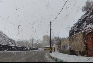 بارش برف سقز را سفیدپوش کرد