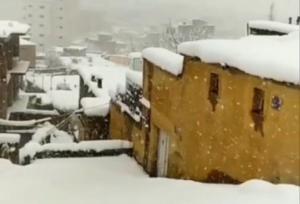 بارش برف در بانه