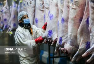 مدیرکل دامپزشکی استان بوشهر: مسئول قیمت نیستیم، مسئول سلامتیم