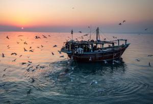 خلیج فارس و غرب تنگه هرمز مواج می‌شود