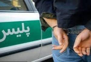 سارق کابل برق در بوشهر دستگیر شد