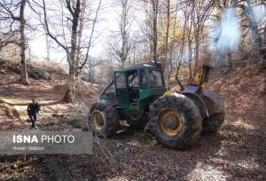 جلوی گسترش آتش در سوادکوه گرفته شد