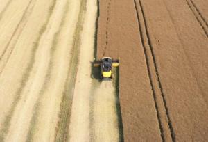 تبدیل مزارع جهان به ابزاری قدرتمند برای مقابله با تغییرات اقلیمی