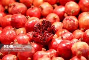 شب یلدا را هوشمندانه بگذارانیم؛ نه پرخوری، نه حذف دورهمی