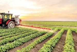 شیخعلیشاهی:پرداخت ۱۸۸ میلیارد تومان تسهیلات مکانیزاسیون کشاورزی در یزد