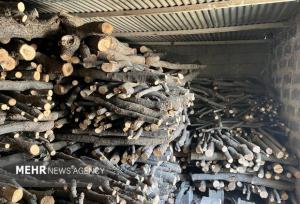 شناسایی و توقیف قاچاق چوب در روستای انگتارود