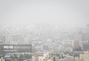 گردوغبار در کمین گلستان؛ احیای طبیعت با دستان خالی