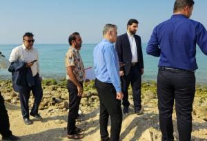 هشدار دادستان کنگان به متصرفان حریم دریا در «شیرینو»