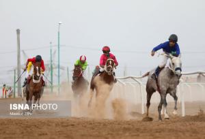 برترین‌های مسابقات روز دوم هفته پنجم کورس پاییزه اسبدوانی گنبدکاووس معرفی شدند