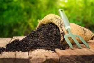 تأمین ۶۰۰ تن کود فسفاته برای بهره‌برداران استان یزد