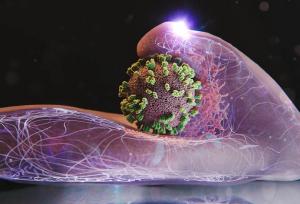 دو فوتی تأییدشده آنفلوآنزا در آذربایجان شرقی/ وضعیت تحت کنترل است