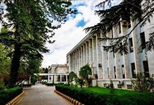 طالبان، حمله تروریستی به مسجدی در سوریه را محکوم کرد