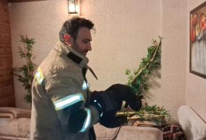 نجات یک گربه توسط آتش‌نشانی کرج