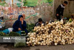 درآمد ۱۶ هزار میلیارد تومانی کشاورزان گیلانی از کشت دوم