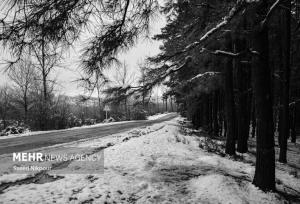 بارش برف در گردنه الماس