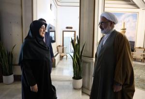 سخنگوی دولت وارد فرودگاه مشهد شد