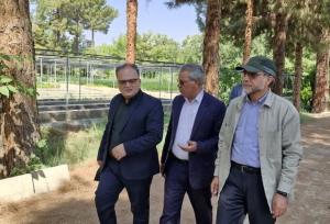 ضرورت حفظ گونه‌های بومی؛ مجلس حامی طرح یک‌ میلیارد درخت