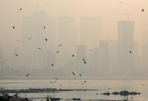 کدام حرکات یوگا سپری در برابر آلودگی هوا است؟