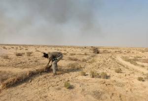 مرادزاده: یکی از دشت‌های مهم زنده‌گیری «هوبره» پاکسازی شد