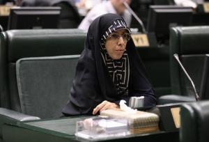 زمانی: بودجه سالانه بیشتر به نفع شرکت‌های دولتی طراحی شده است