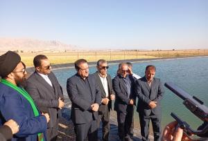 بازدید استاندار ایلام از بخش مورموری آبدانان و اراضی گسترده کشاورزی مولاب