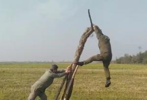 رخش بهار: تله‌های زنده‌ گیری پرندگان شکاری در پارک بوجاق جمع آوری شد