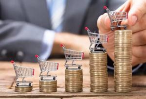 اعمال سقف‌گذاری ترازنامه ، ابزار کلیدی مهار تورم 