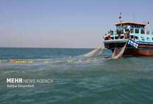 ۷۵۰۰ صیاد بوشهری راهی دریا می‌شوند/ آغاز فصل صید آبزی پرخاصیت
