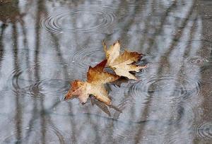 کاهش ۲ درجه‌ای دمای همدان/  بارش یک میلیمتری باران در شیرین‌سو