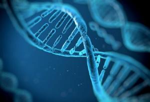 ویروس‌های باستانی DNA عامل ابتلا به بیماری روانی