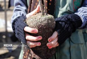 پویش کاشت نهال در دهلران